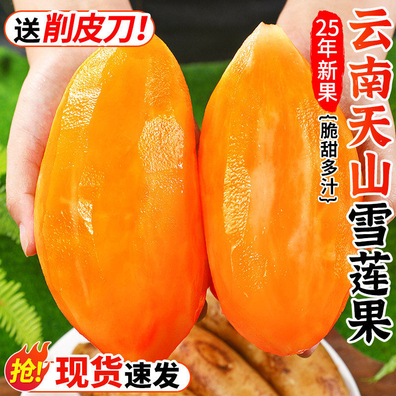 云南天山雪莲果精品9斤!