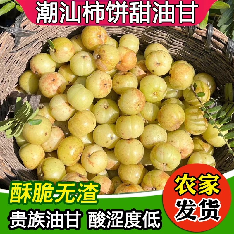 潮汕柿饼甜油甘果新鲜余甘果甜种油柑牛甘子滇橄榄榨汁孕妇酸水果