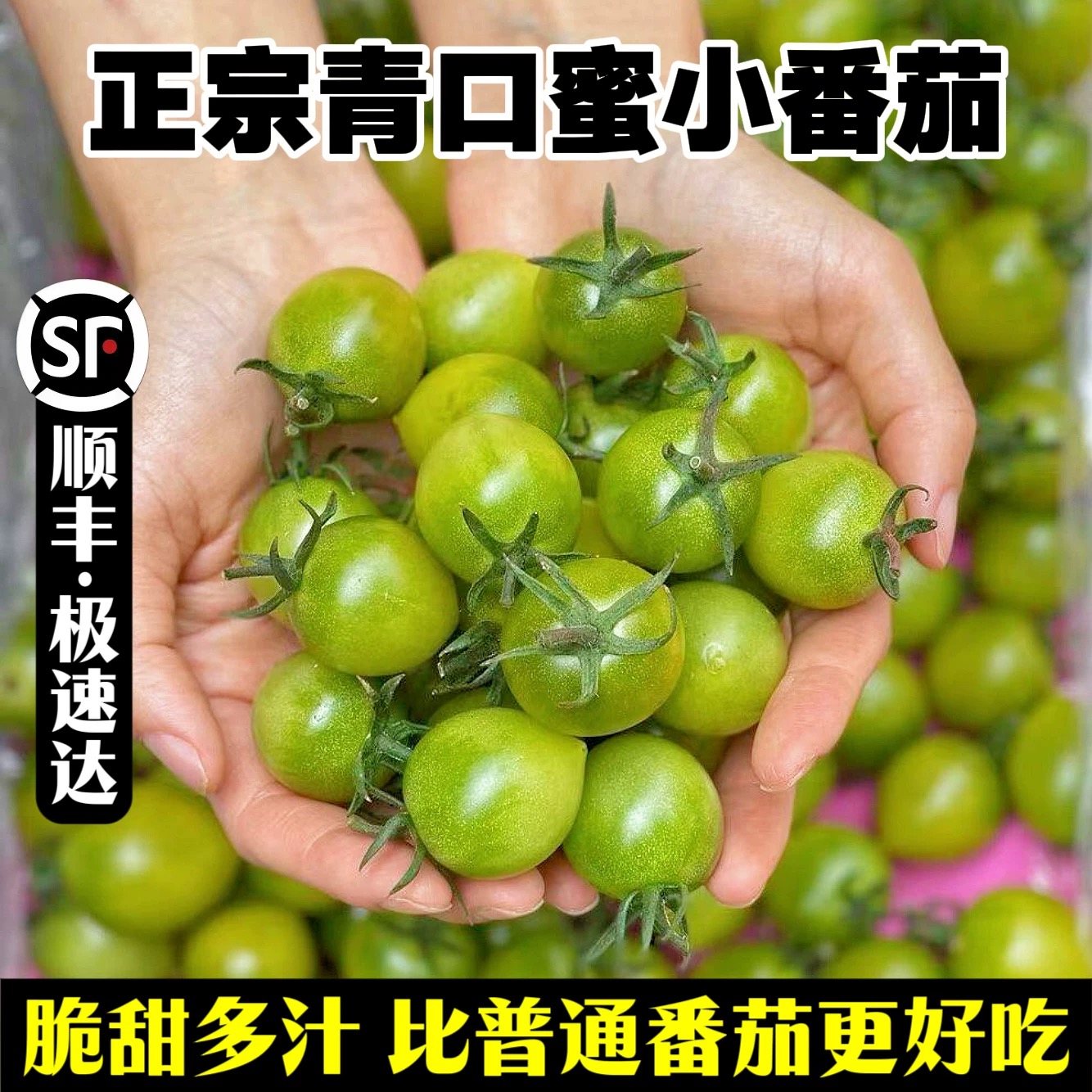 绿千禧青口蜜圣女果绿宝石迷你小番茄柿子新鲜超甜孕妇水果蔬菜