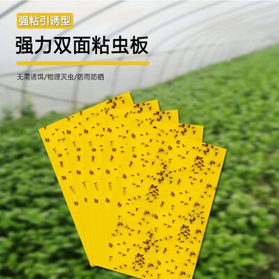 双面黄色诱果蝇粘虫板
