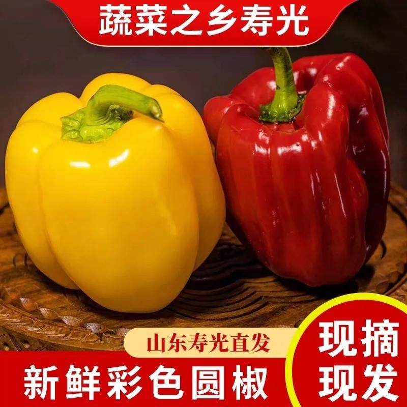 正宗山东五彩椒现摘现发圆椒红椒黄椒彩椒太空椒红生吃新鲜蔬菜,3C数码配件,USB多功能数码宝,淘宝优惠券,粉丝福利购,淘宝优惠卷