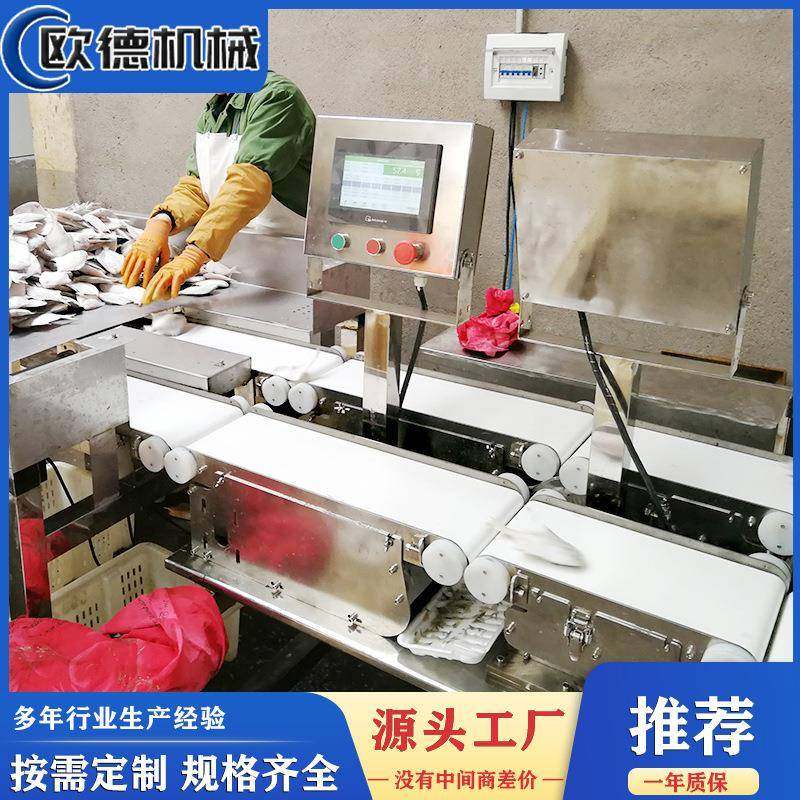 客户制作白条鸡称重分选机自动上料果蔬海鲜重量检测分级,五金/工具,其他包装设备,淘宝优惠券,粉丝福利购,淘宝优惠卷