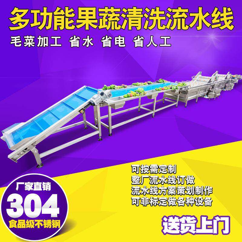 变频可调玉竹清洗机 大型惊雷笋隧道加工设备 臭氧辣木籽清洗线