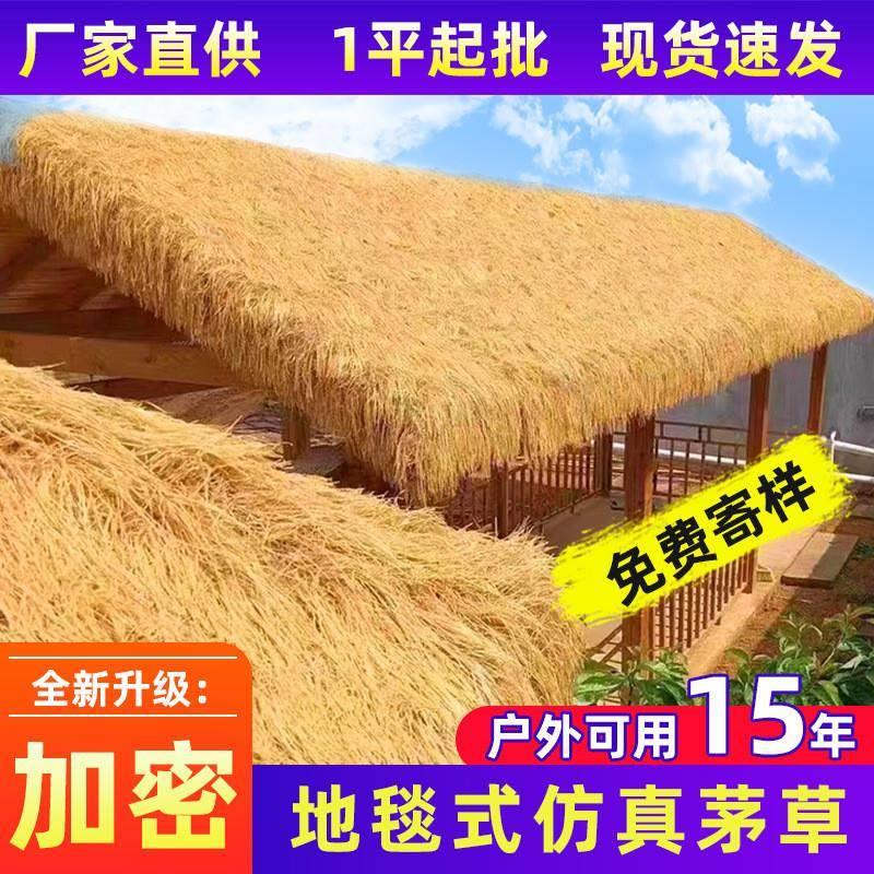 绿植墙幼儿园学校足球场加厚仿真草坪地毯果蔬店人工假草防滑阳台