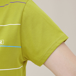 有带领子中老年短袖T恤女士纯棉宽松上衣新款妈妈夏装条纹打底衫