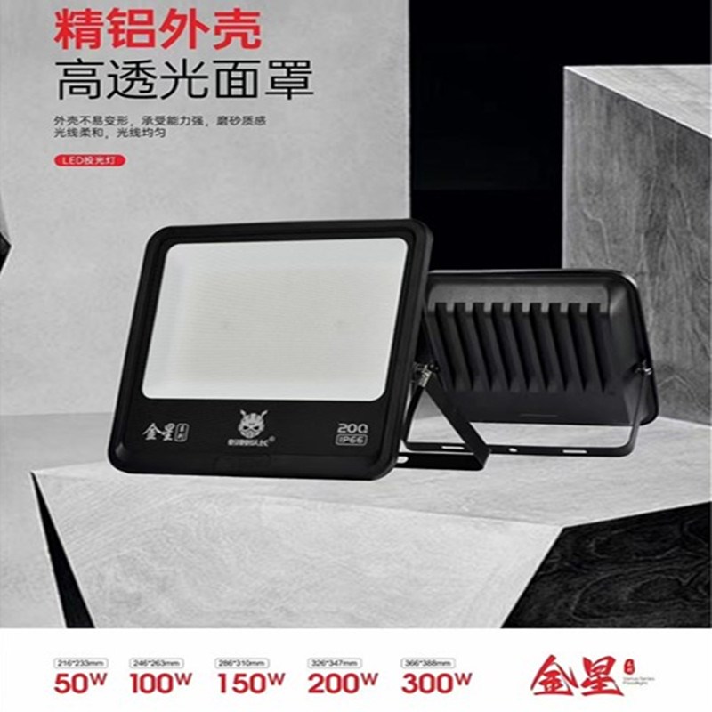 蚂蚁队长100w200w体育馆球场专用投光灯足功率超亮户外防水灯具
