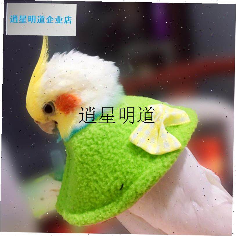 l鸟禽用伊丽莎白j保暖围脖 防咬防啄保护项圈 虎皮玄凤专用斗篷,宠物/宠物食品及用品,鸟禽服饰,淘宝优惠券,粉丝福利购,淘宝优惠卷