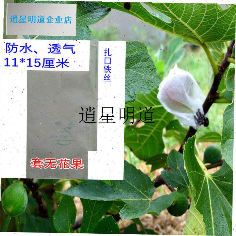 l无花果专用套袋纸袋草莓樱桃李子黑布朗百香果圣女Z果袋防水虫
