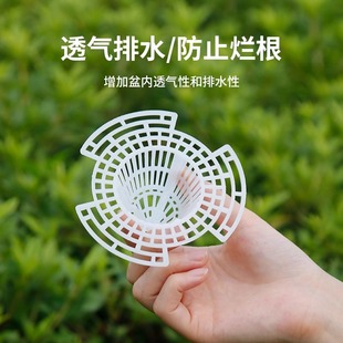 花盆底孔网垫塑料兰花沥水罩多肉盆栽防漏土网垫片垫底网透气漏水