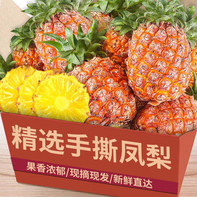 【手撕凤梨】农家自种|新鲜水果