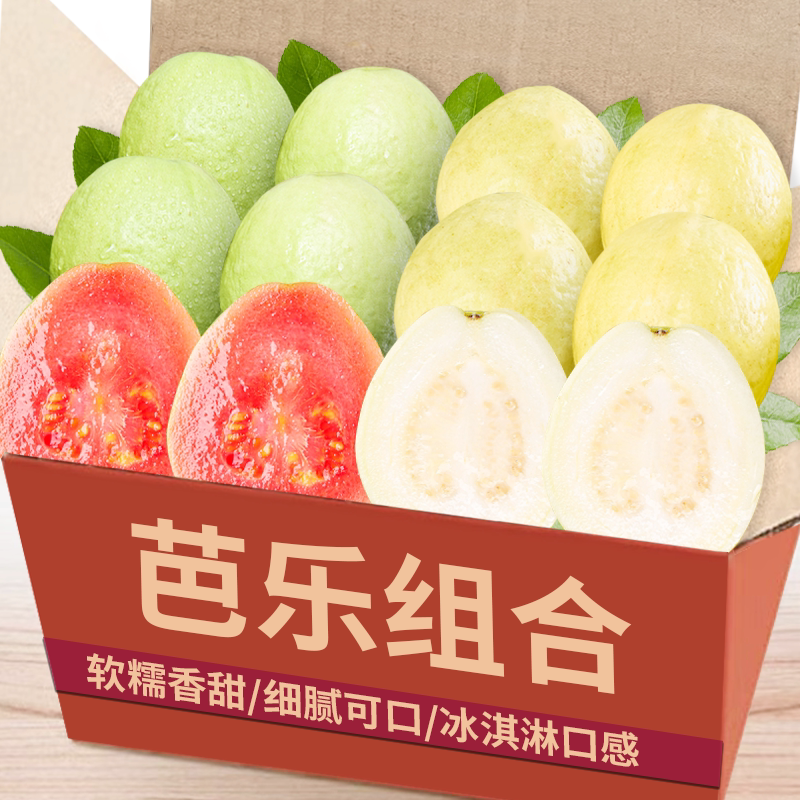 �ۻ��㣺1�� �����ֺ�׻��װ����ϸ�ʵ�ݣ�