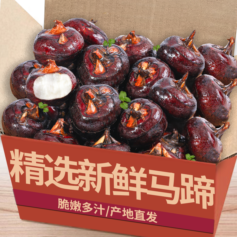 现挖广西牛奶特大马蹄新鲜蔬菜荸荠水果农家白马蹄即食特产地直发