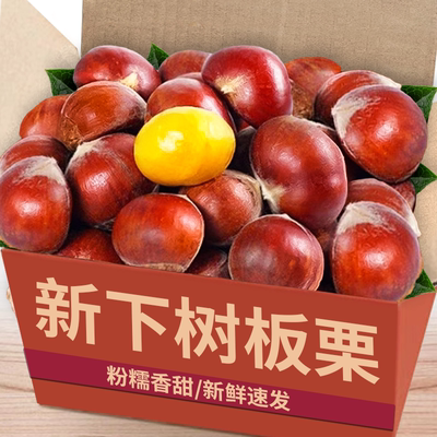 新下树！【丹东板栗】现摘现发