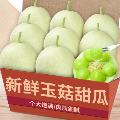 玉菇甜瓜|冰淇淋口感|热卖TOP榜|
