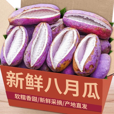 新鲜八月瓜！软糯绵密！现摘现发