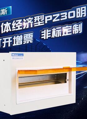 厂家中体经济型配电箱 PZ30明装回路箱 家用铁皮照明配电箱
