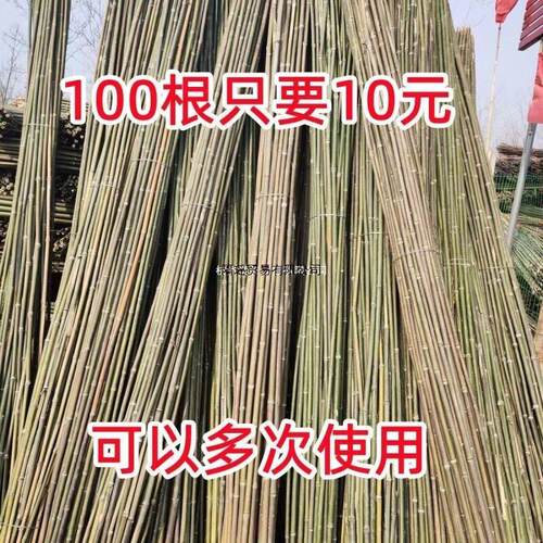 竹竿菜园搭架竹子户外旗杆黄瓜豆角爬藤菜架竹杆支架豇豆搭架杆
