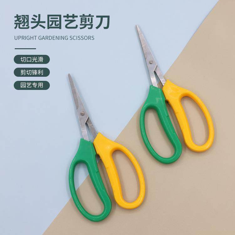 园林工具果树采摘葡萄摘果剪 不锈钢园艺稀果剪刀 翘头园艺剪