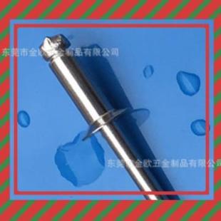 304帽304芯抽芯铆钉平头拉钉 工厂现货沉头全不锈钢拉铆钉