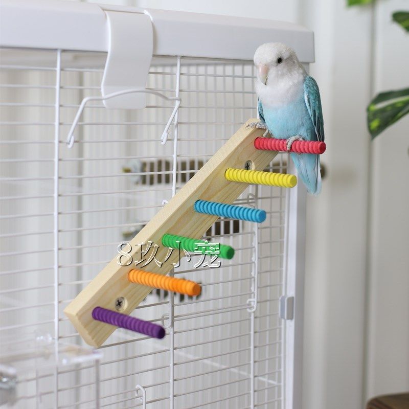 8玖-鹦鹉彩虹跳台爬梯实木家具站杆鸟窝攀爬健身磨爪绳索鸟笼用品,宠物/宠物食品及用品,鸟玩具,淘宝优惠券,粉丝福利购,淘宝优惠卷
