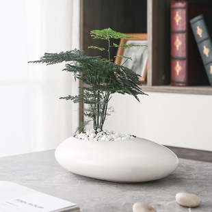 异性创意陶瓷花盆个性 随圆螺旋皮革多肉绿萝盆景文竹北欧简约网红