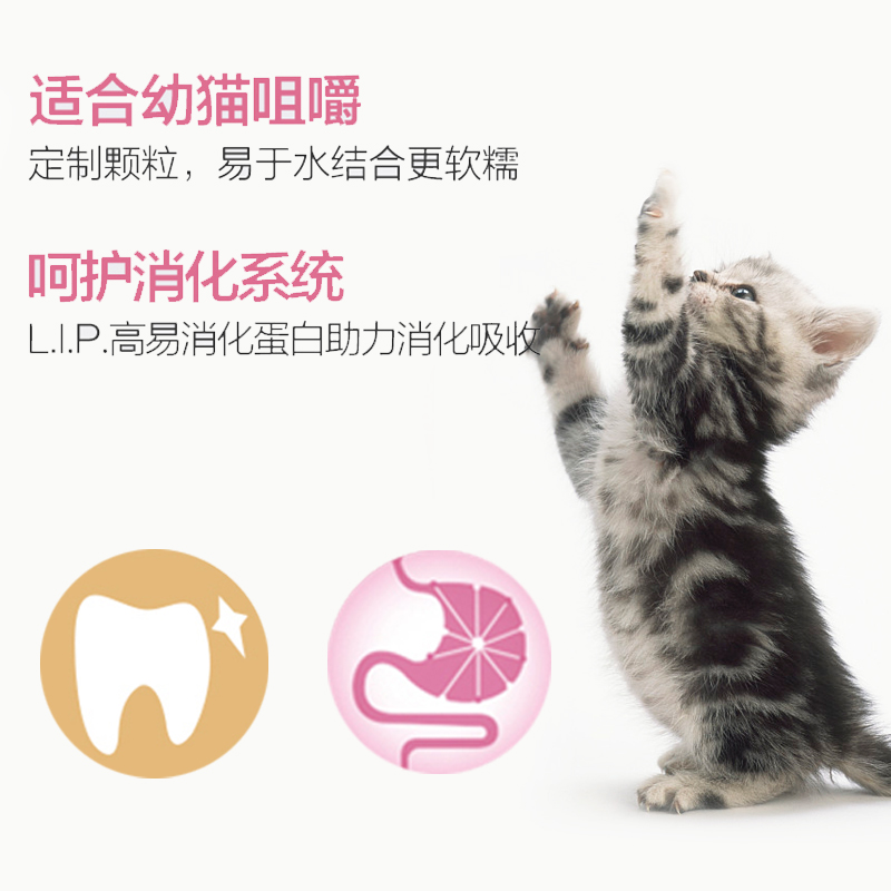 皇家猫奶糕幼猫离乳期猫粮罐头奶糕粮孕猫1-4月 bk34  400g*2包