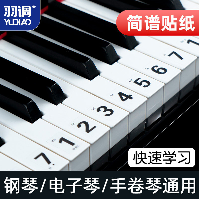 88/61/54键通用钢琴键盘贴纸电子琴手卷钢琴琴贴五线谱简谱键位贴