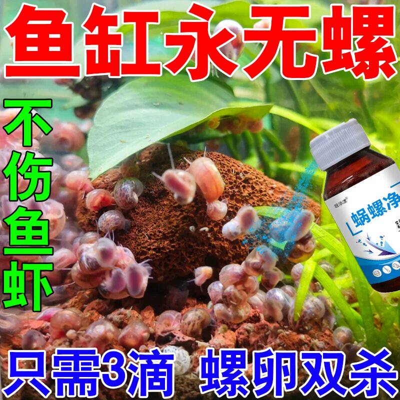 鱼缸除螺剂灭螺药涡虫苹果螺扁螺杂螺囊螺水螅不伤鱼虾水族缸草缸