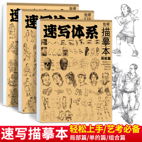 速写体系描摹本简单易学高考专用