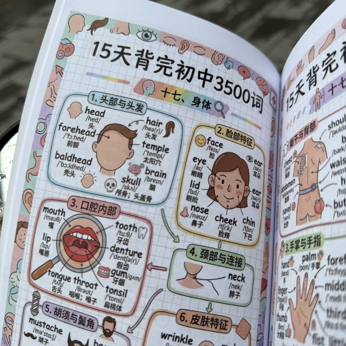 初中英语15天牢记初中3500词汇初中全阶段通用趣味漫画合集笔记本