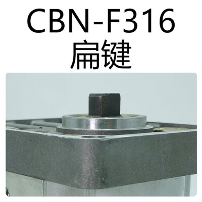 液压高压齿轮泵CBN-F304 F306 F310 F316剪板机拖拉机升降台油泵