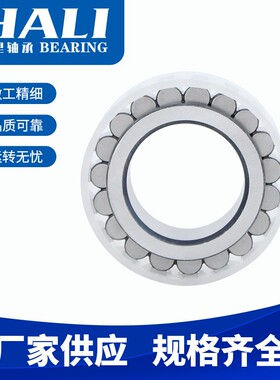 RSL185020A轴承 减速机轴承 无外圈满装圆柱滚子NKE轴承