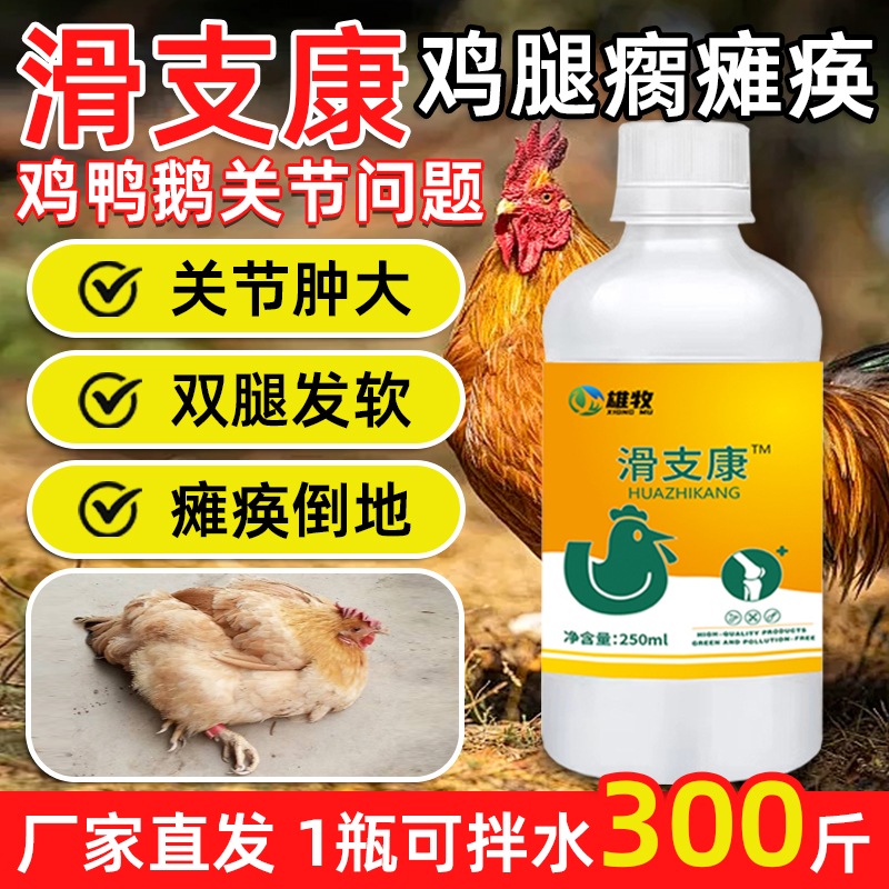 滑支康鸡鸭鹅滑囊炎瘫痪站不起来