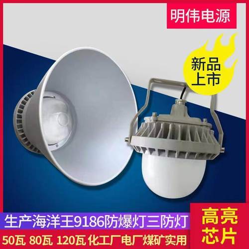 .LED平台灯海洋王9186.50W -100w护栏式立杆式三防灯.