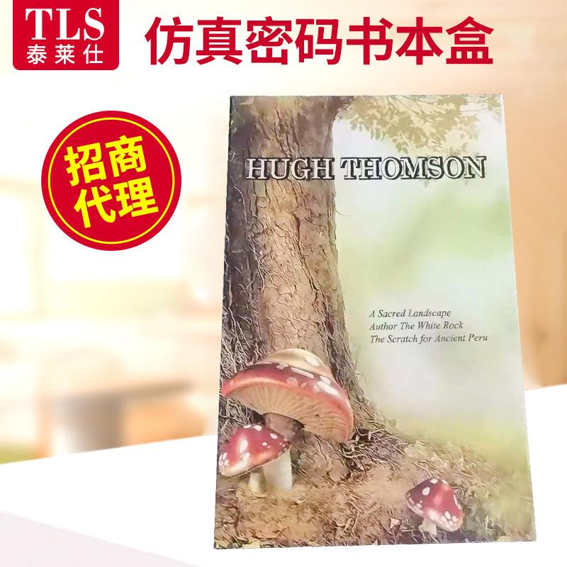 创意书本盒中号书本中型投币迷你保险箱 机械防湿钥匙保险箱