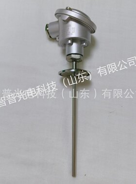 山东新华灭菌柜温度探头  PT100铂热电阻XH-PT1-243101-150