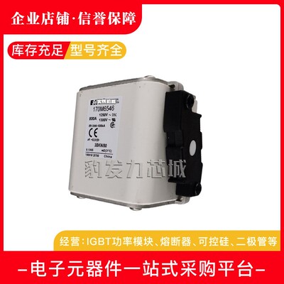 170M6593 170M6594 170M6595/6596/6597/6598/6599全新熔断器现货
