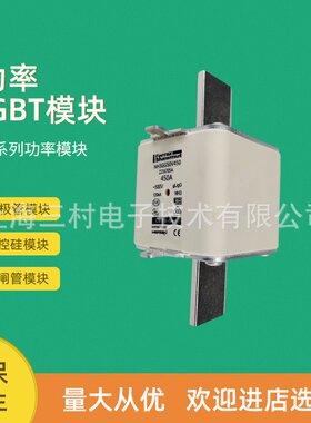 全新熔断器保险丝NH2UD69V700PV J320490 NH3UD69V315PV F320579