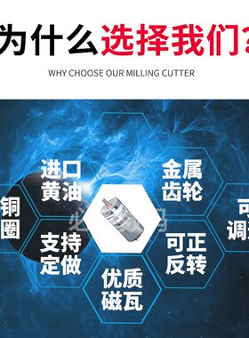 ZGB25RP、ZGB25RQ 微型直流减速电机马达偏心轴12V 24V