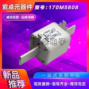 170M5741 170M5740 170M5742 170M5739 Bussmann熔断器170M5738