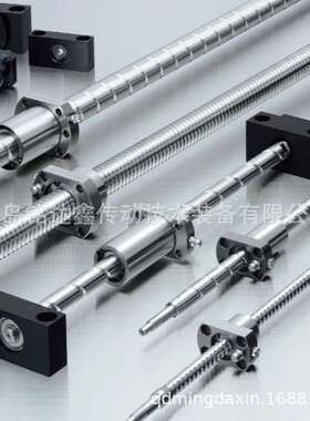 滚珠丝杆W1002MA-5PY-C3Z2.5 W1002MA-7PY-C3Z2.5