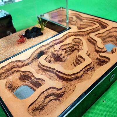 蚂蚁城堡CC宠物蚂蚁新型蚂蚁窝蚂蚁蚁巢蚂蚁工坊蚂蚁别墅