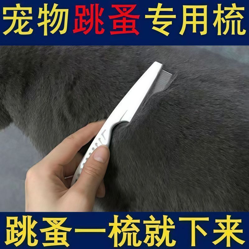 猫狗密齿针梳眼脸跳蚤清理