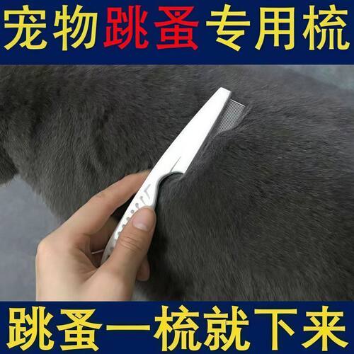 猫狗密齿针梳眼脸跳蚤清理