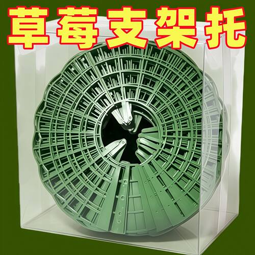 阳台盆栽草莓倒伏支架