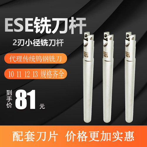 ESE C10-10-120 C12-12-120 小径2刃铣刀杆 两刃铣刀杆 立铣刀