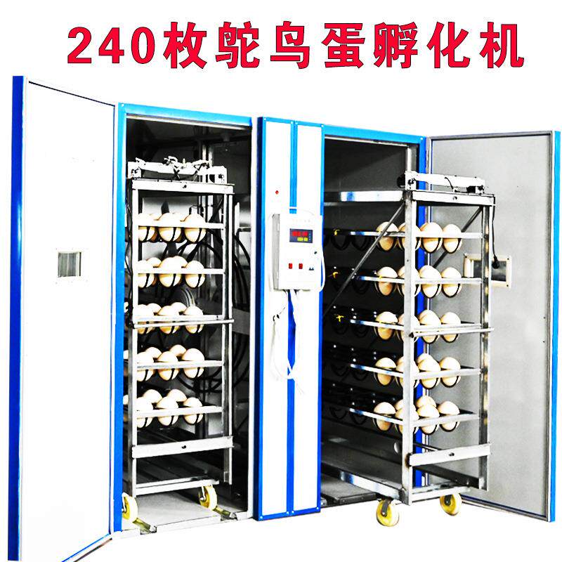 鸵鸟蛋孵化机240枚蛋车式孵化器 鸵鸟鸸鹋蛋孵化箱智能全自动设备