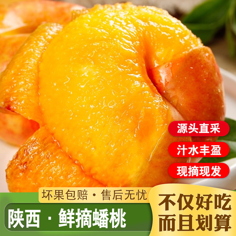 陕西彩虹毛蟠桃现摘现发
