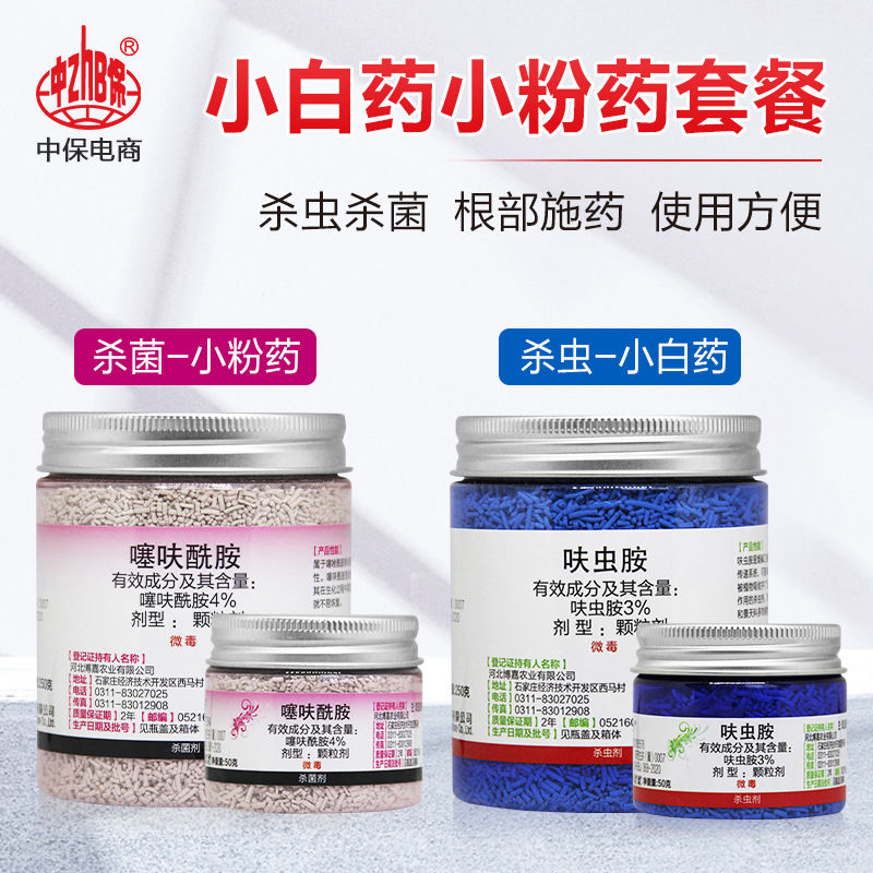 仙葩小白药多肉月季蓟马蚧壳虫
