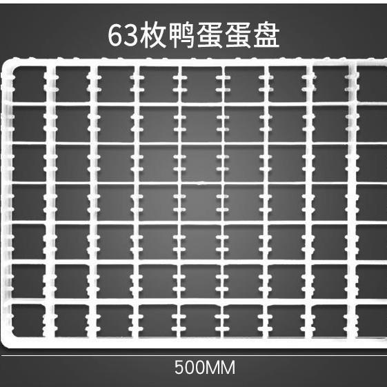 通达鸡鸭鹅鹌鹑蛋孵化盘鹌鹑蛋鸽子蛋托家禽孵化机设备塑料鸡蛋盘